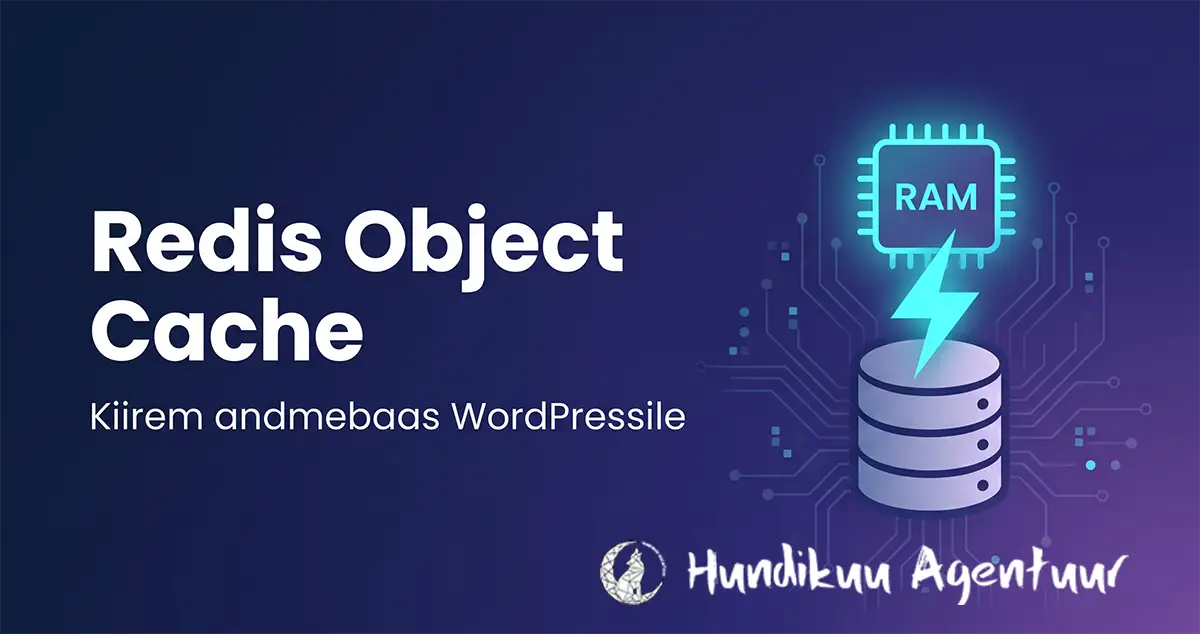 Redis Object Cache – miks andmebaas aeglustab ja kuidas seda lahendada