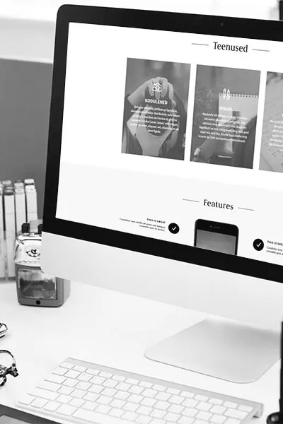 Professionaalsete kodulehtede ja e-poodide tegemine WordPress ja WooCommerce platvormidel. Kiired, turvalised ja SEO-sõbralikud lahendused alates 2020. aastast.